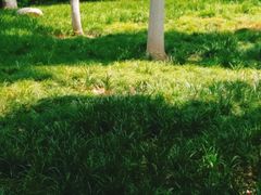 -后襄河公园