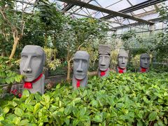 -南宫五洲植物乐园