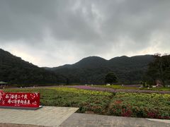 -广州市石门国家森林公园