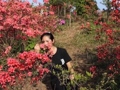 -瑞安圣井山景区