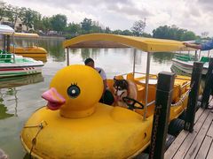 -上海长兴岛郊野公园