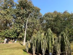 -中国科学院西双版纳热带植物园