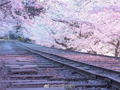 -重庆大队长火锅(凤城八路店)