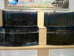 -屯老二农家铁锅炖·行业领军者(梅江店)