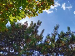 -大连天门山国家森林公园