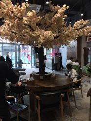 -简影造型·自选烫染接发salon