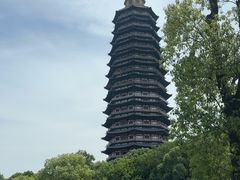 -听松楼·花园酒店·自助餐厅(红梅公园店)
