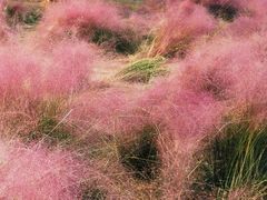 -钟山体育运动公园