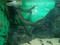 -常州海昌海洋探索馆