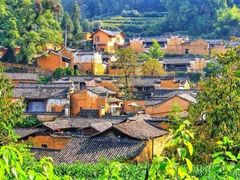 -杨家堂村