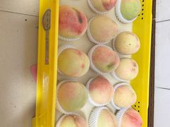 -老袁家蜜桃农场·阳山水蜜桃