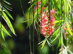 -华南国家植物园-售票处