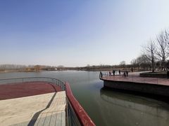 -东郊湿地公园