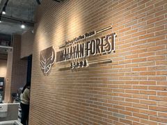 -喜马拉雅森HIMALAYAN FOREST