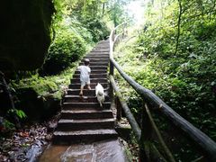 -碧峰峡风景区