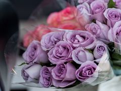 -循礼门鲜花花市(武汉循礼门店)