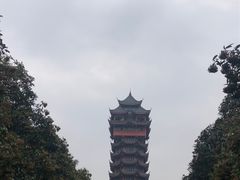-塔子山公园