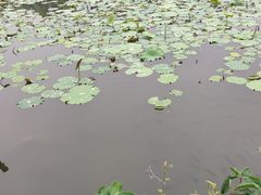 -颐和园