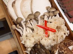 -湯系·煲汤手艺人(东二环泰禾广场店)