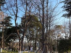 -莲湖公园