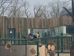 -天津市动物园