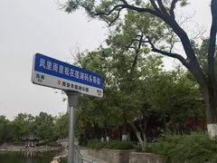 -莲湖公园