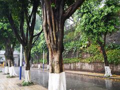 -西南政法大学(沙坪坝校区)