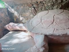 -上海佘山国家森林公园天马山园