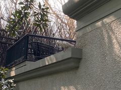-上海宋庆龄故居纪念馆