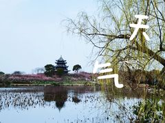 -上海海湾国家森林公园