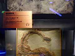 -贵州省博物馆(新馆)