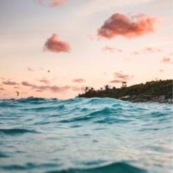 -薇兰专业脱毛连锁机构