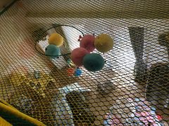 -太阳岛度假酒店