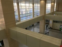 -中国中医科学院望京医院(院本部)