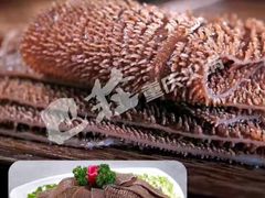 -巴庄重庆火锅(太康一店)