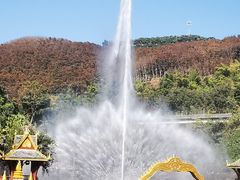 -西双版纳原始森林公园