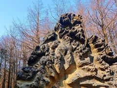 -山王坪喀斯特国家生态公园