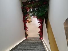 -知粤塘港式茶餐厅
