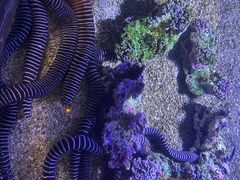 -哈尔滨波塞冬海底世界