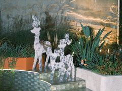 -紫荆广场·花漫里