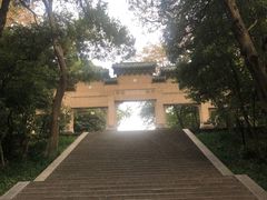 -灵谷景区