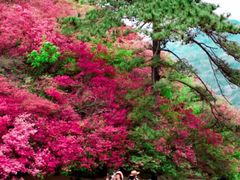 -木兰云雾山