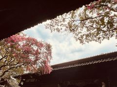 -都江堰景区