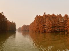 -上海海湾国家森林公园