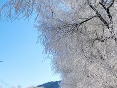 -雾凇岛