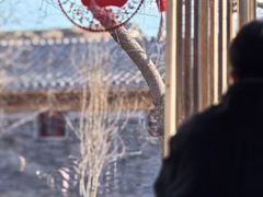 -春风习习