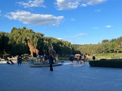 -北京野生动物园