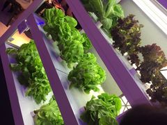 -盒马鲜生(大成店)