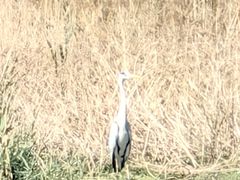 -敬亭山风景名胜区