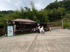 -栾川竹海野生动物园